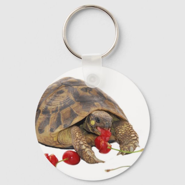Porte-clés Hermann Tortoise et fraises (Recto)