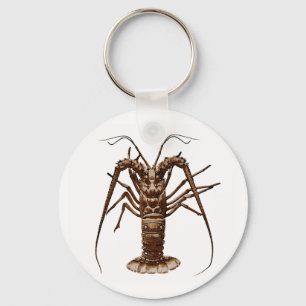 Porte-clés Homard épineux des Caraïbes