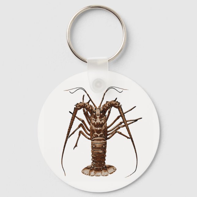 Porte-clés Homard épineux des Caraïbes (Recto)
