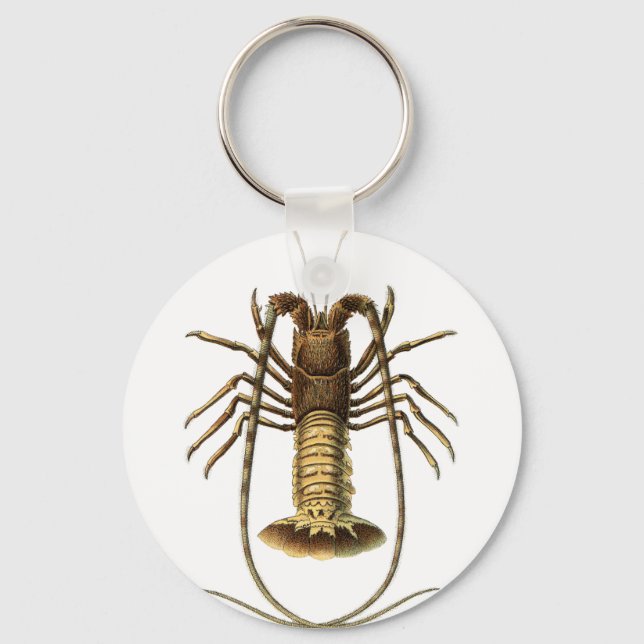 Porte-clés Homard vintage (Recto)