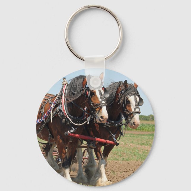 Porte-clés Horse Clydesdale Agriculture Photo (Recto)