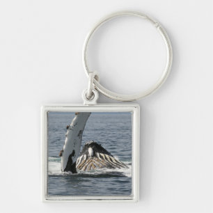 Porte-clés Humpback Whale