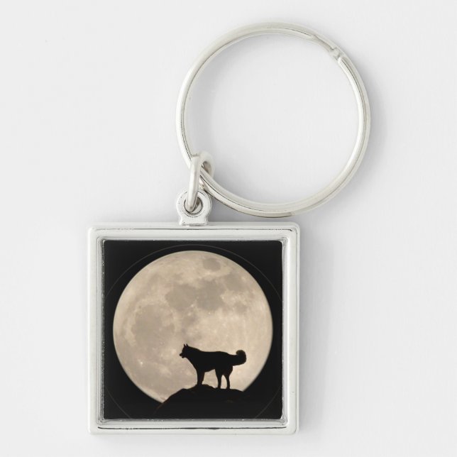 Porte-clés Husky Porte - clé Sibérien Husky Malamute Cadeaux  (Devant)