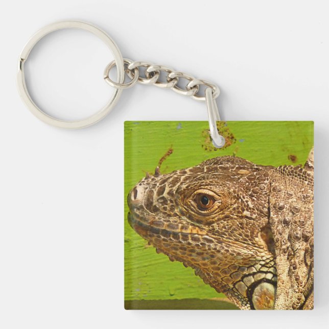 PORTE-CLÉS IGUANA (Devant)