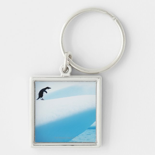 Porte-clés Île de Petermann, Antarctique (Devant)