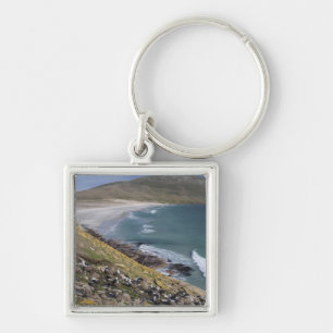 Porte-clés Îles Falkland, Malouines occidentales, Saunders