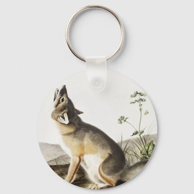 Porte-clés Illustration de Fox (Vulpes velox) (Recto)
