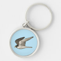Illustration d'oiseau cool de faucon pèlerin