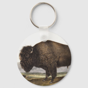 Porte-clés Illustration du bison américain (Bos Americanus)