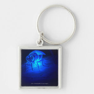 Porte-clés Illustration luminescente d'une mouche de tsetse