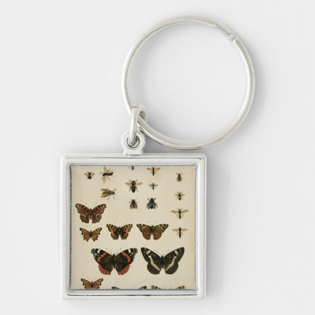 Porte-clés Insectes de jardin par Vision Studio (Devant)