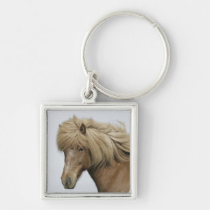 Porte-clés Islande. Portrait d'un cheval islandais.