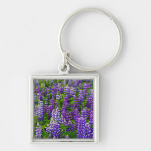 Porte-clés Islande. Vik i Myrdal. Champ de lupins