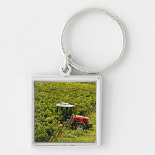 Porte-clés Italie, Toscane, Greve. Cueilleurs au travail pend