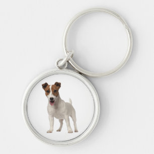 Porte-clés Jack Russell Terrier Chien Coquelicot Blanc Et Bro