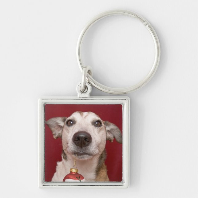 Porte-clés Jack Russell Terrier tenant l'ornement de Noël (Devant)