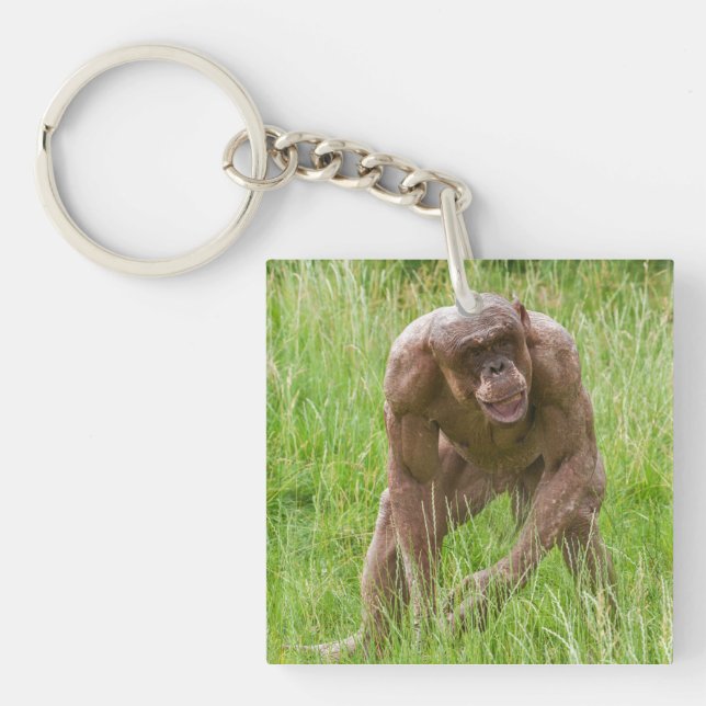 Porte-clés Jambo Le Chimp Unique Sans Cheveux (Devant)
