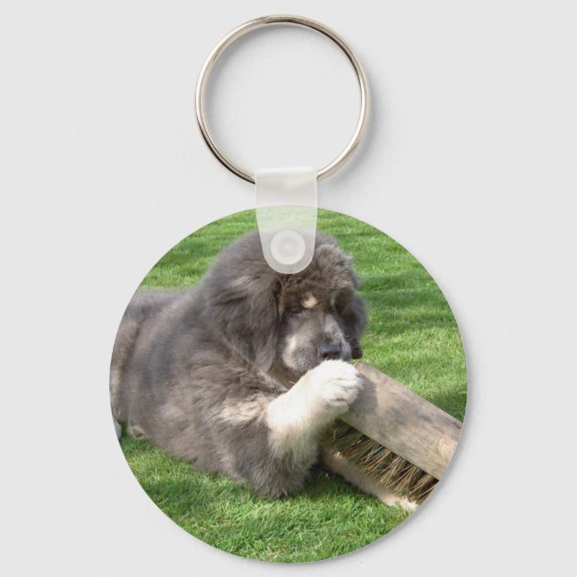Porte-clés Jampo Tibétain Mastiff avec porte - clé de balai (Recto)