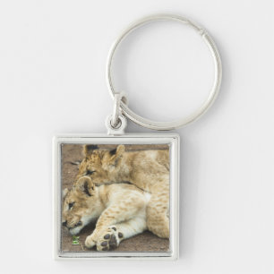 Porte-clés Jeu de deux petits animaux de lions