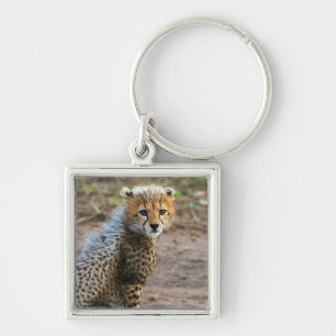 Porte-clés Jeune guépard Acinonyx Jubatus)