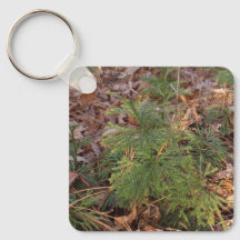 Porte-clés jeune pin cadeau inspiré de la nature