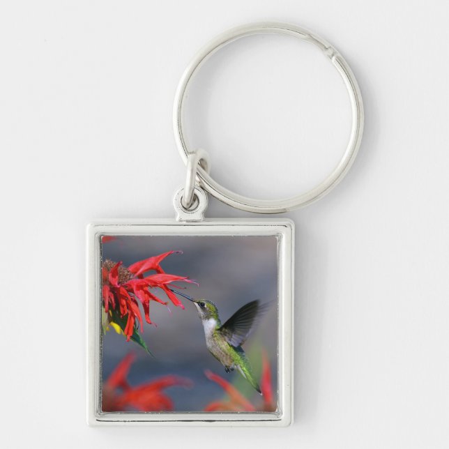 Porte-clés Joli colibri (Devant)