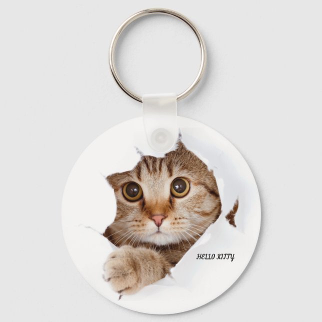 Porte-clés Joli Hello Kitty Porte - clé (Recto)