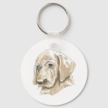 Joli Yellow Lab Lovable Puppy