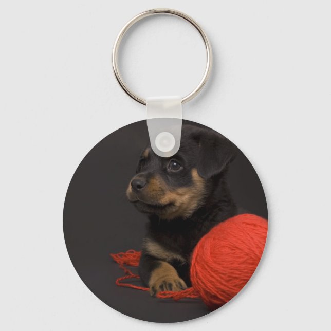 Porte-clés Jouer Puppy 7 (Recto)