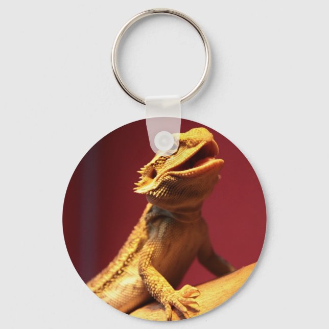 Porte-clés Joyeux dragon à poils (Recto)