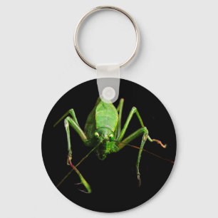 Porte-clés Katydid