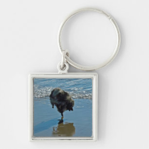 Porte-clés Keeshond Ballet Photographie - Joli chien d'origin