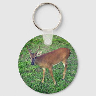 Porte-clés Key Deer