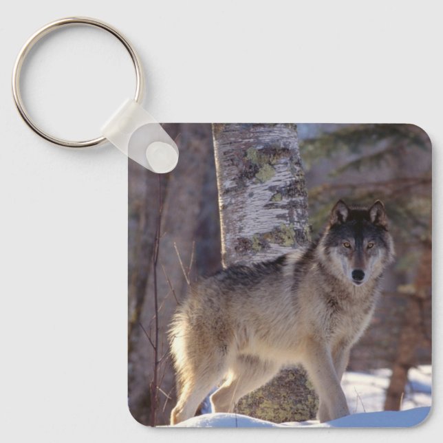 Porte-clés Keychain (Recto)