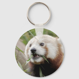 Porte-clés keychain Photo red panda , animals 0326.