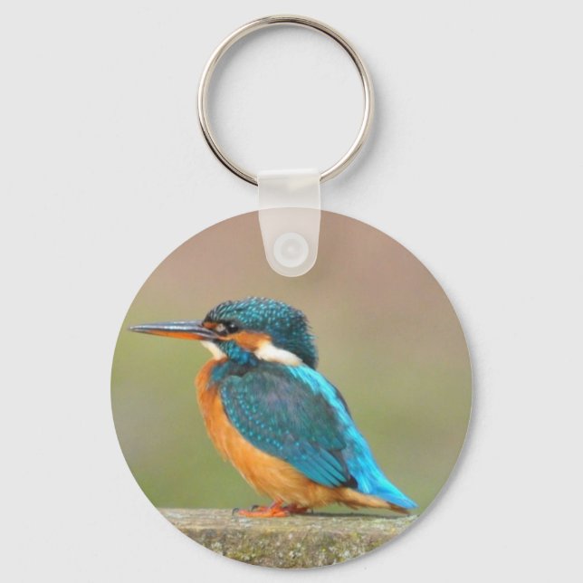 Porte-clés Kingfisher Bird Porte - clé (Recto)