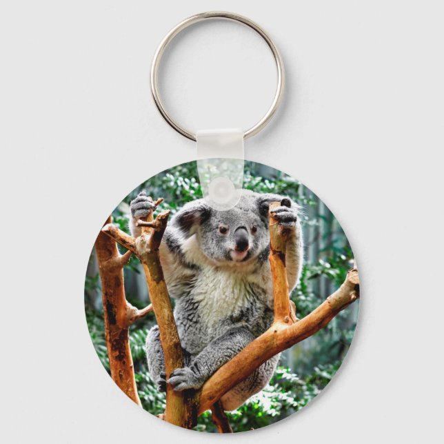 Porte-clés Koala (Recto)
