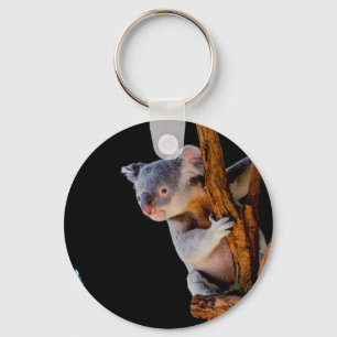 Porte-clés Koala Cute en gris arbre