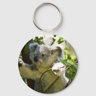 Porte-clés Koala cutie