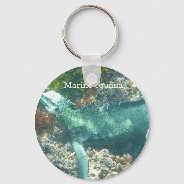Porte-clés La faune marine Iguana (Recto)