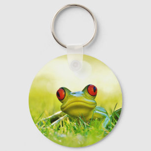 Porte-clés La grenouille d'arbre avec le rouge observe le