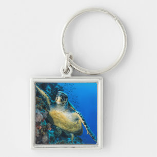 Porte-clés La Mer Rouge verte de la tortue de mer  