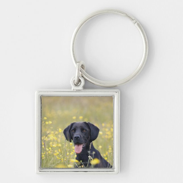 Porte-clés Labrador noir 16 mois (Devant)
