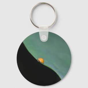 Porte-clés Ladybird