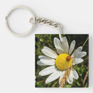 Porte-clés Ladybug sur Daisy