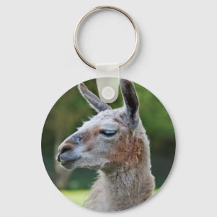 Porte-clés lama