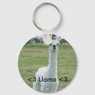 Porte-clés Lama