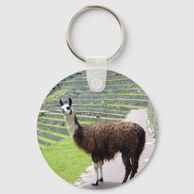 Porte-clés lama regarde (Recto)