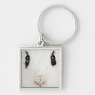 Porte-clés Lapin anglais (cuniculus d'Oryctolagus)