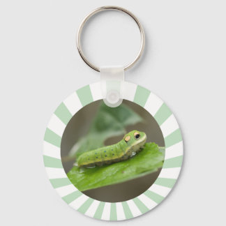 Porte-clés Larva de la chenille papillon